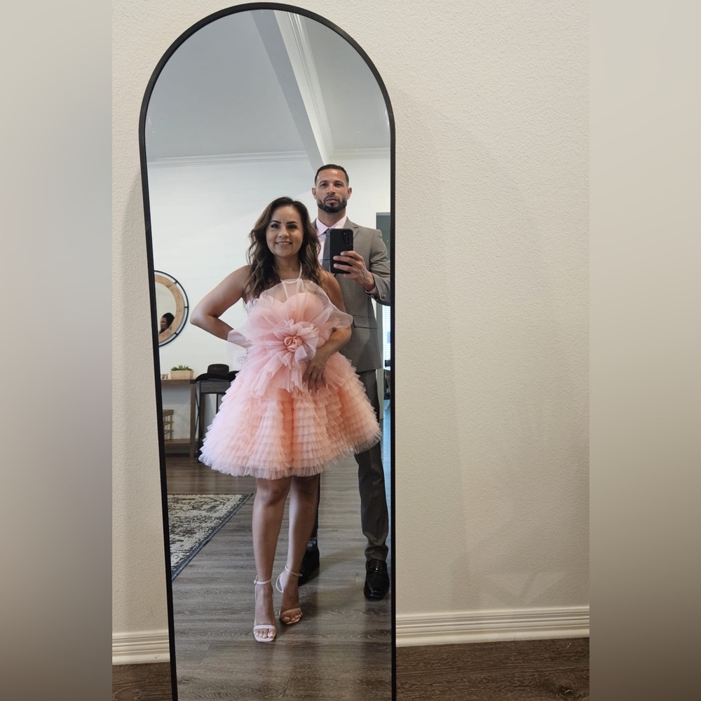 Pink Ruffled Tull Dress - Picture 3 of 5